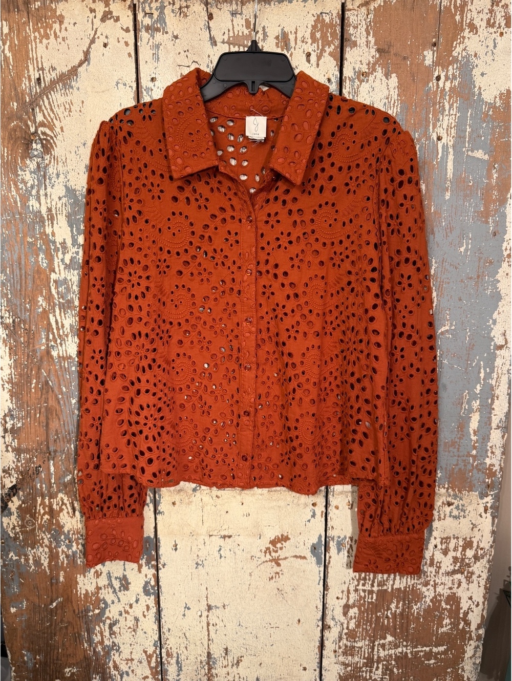 Joie Women's Rust Orange Cotton Eyelet Long Sleeve Button Up Shirt size Large